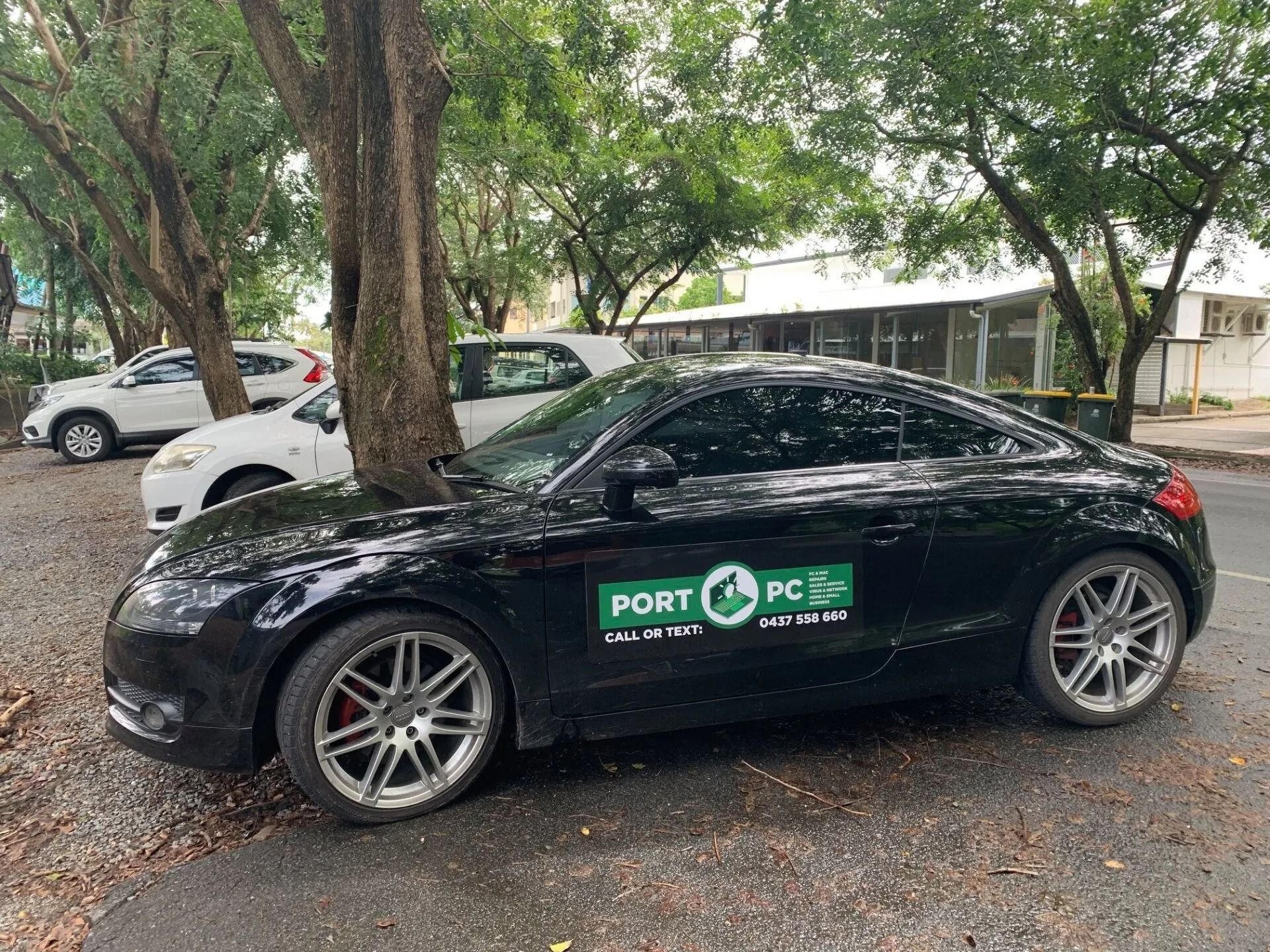A black Audi coupe parked on a gravel lot appears to be growing directly out of a tree trunk.