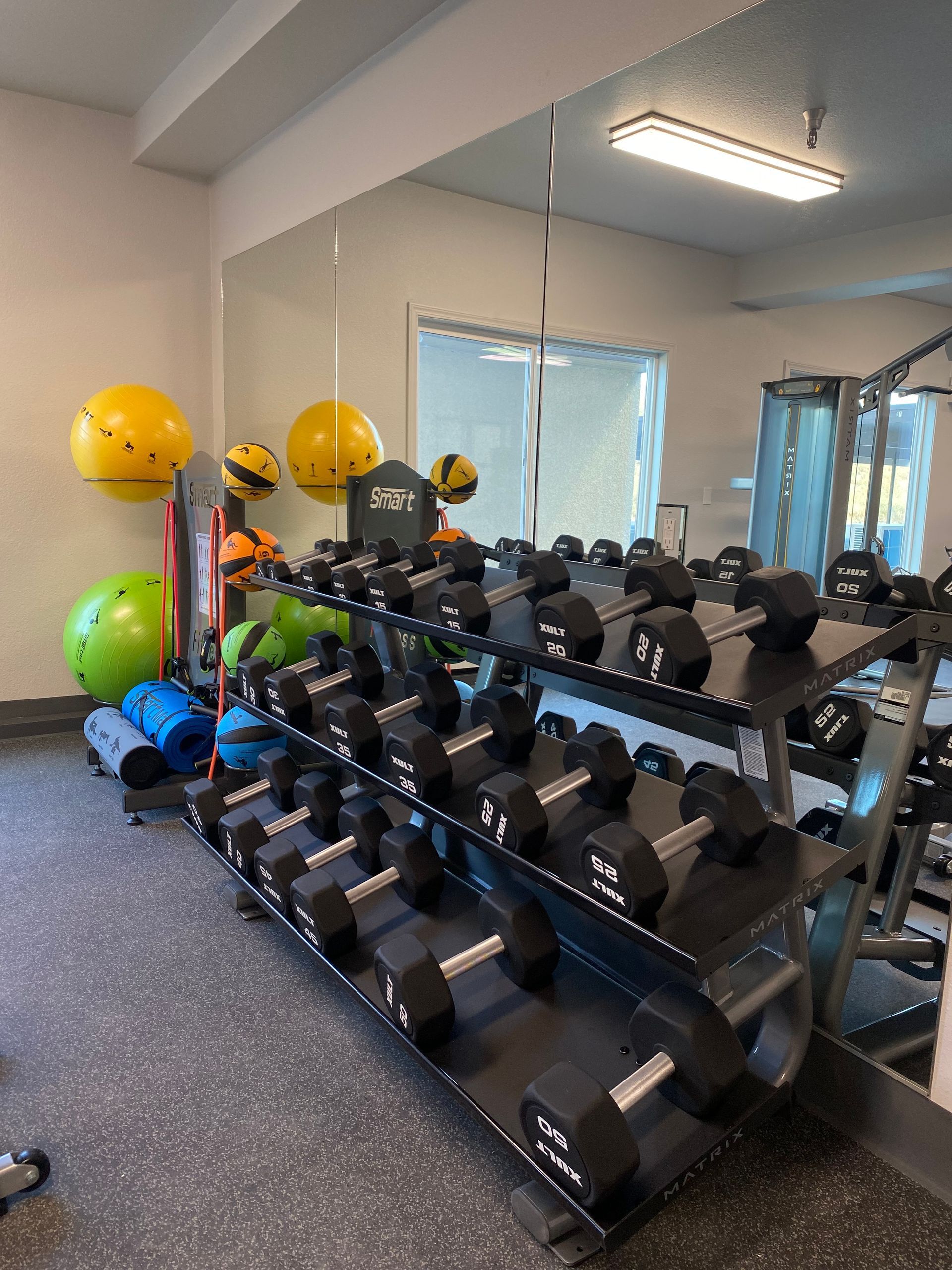 Photo of dumbbells