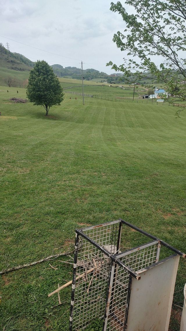 Green grassy hillside with a lone tree, distant houses, and a wire cage in the foreground