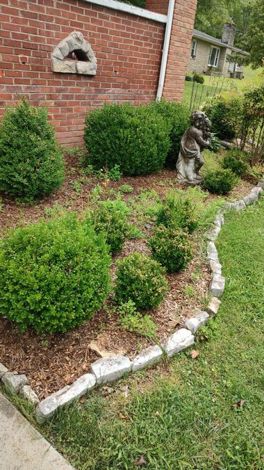 Brick house garden with trimmed shrubs, mulch, white edging, and a small dog statue by the wall