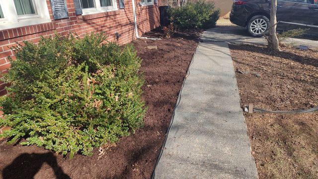 Concrete walkway beside mulch beds and green shrubs leading past a parked car in a front yard