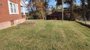 Grassy backyard beside a brick house, with trees and a red shed in the distance.