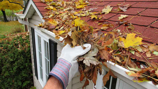 Gloved hand clearing leaves from a red shingled roof gutter near a window