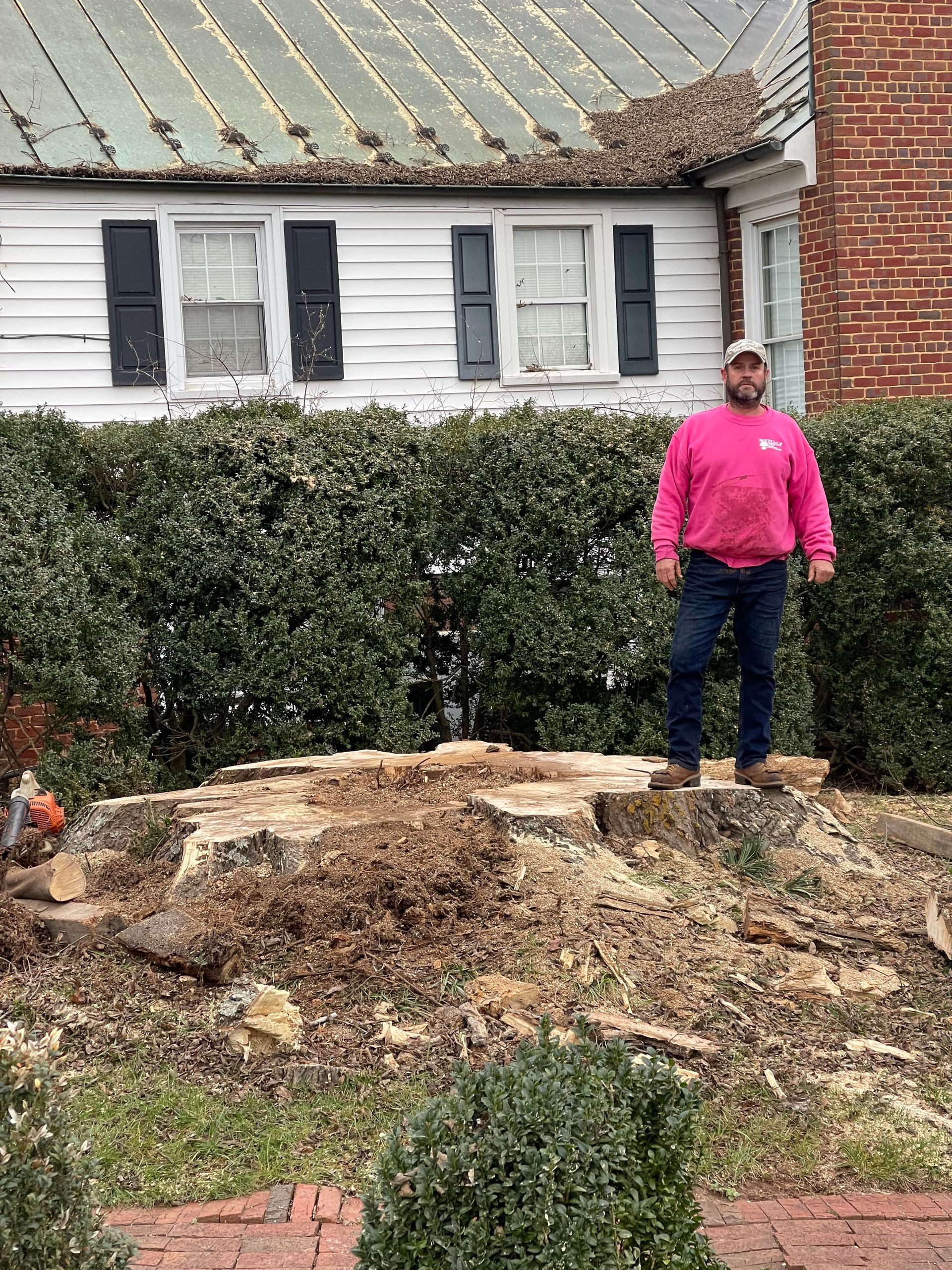 Metcalf Tree Service Charlottesville VA Emergency Tree Removal