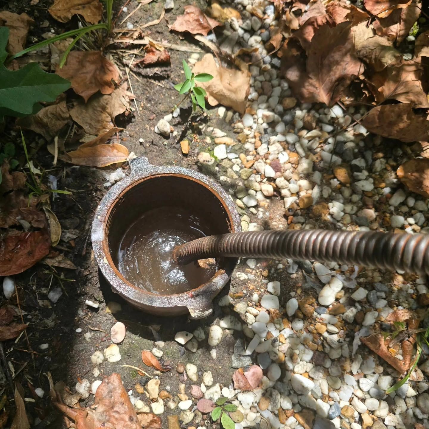 Rusty drain opening with a hose running into water beside gravel and fallen leaves.