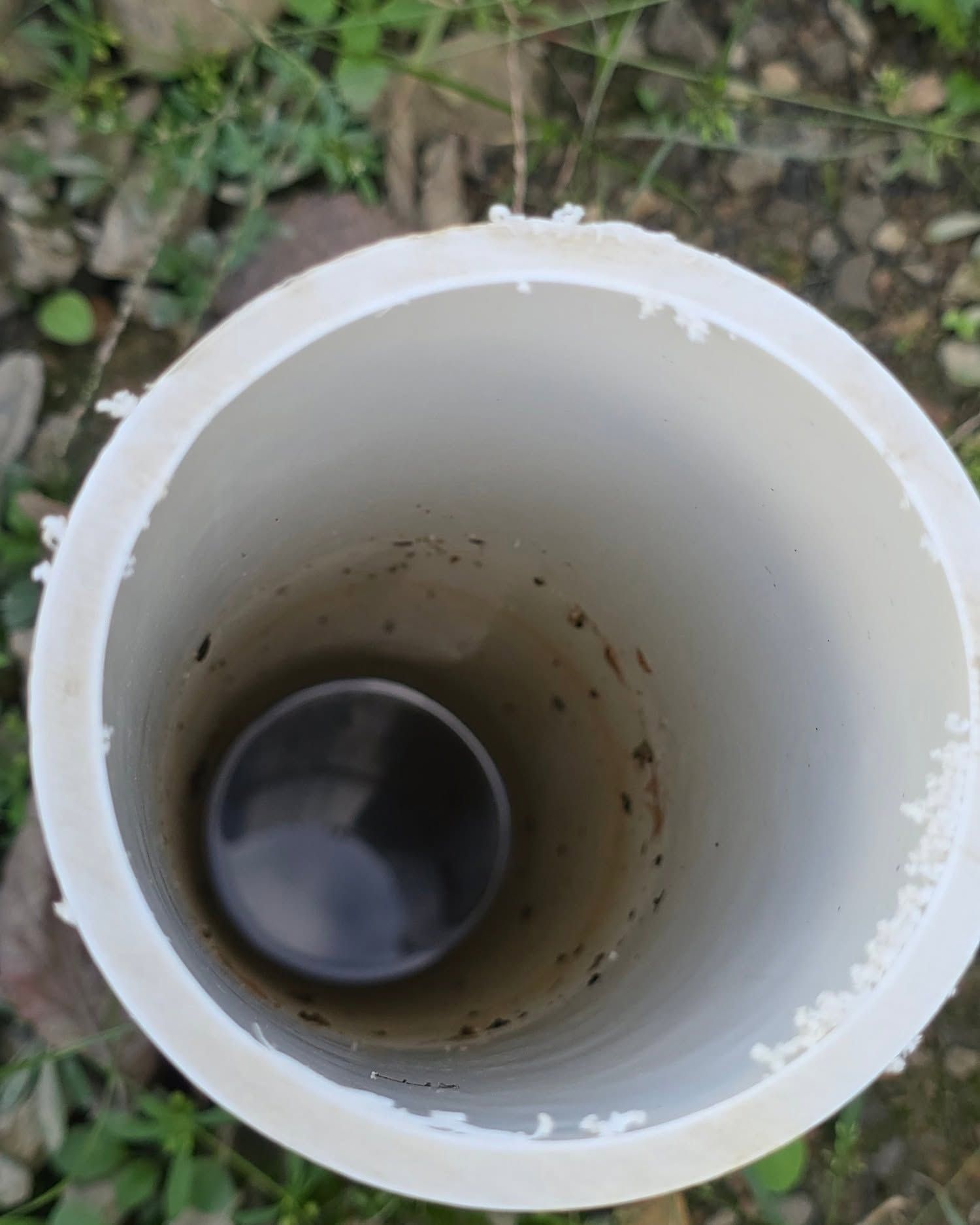 Top view into a white PVC pipe with a dark liquid pooled at the bottom outdoors.
