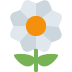 White flower with orange center and green stem.