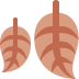Two brown leaves, one small and one large, with light brown vein details.