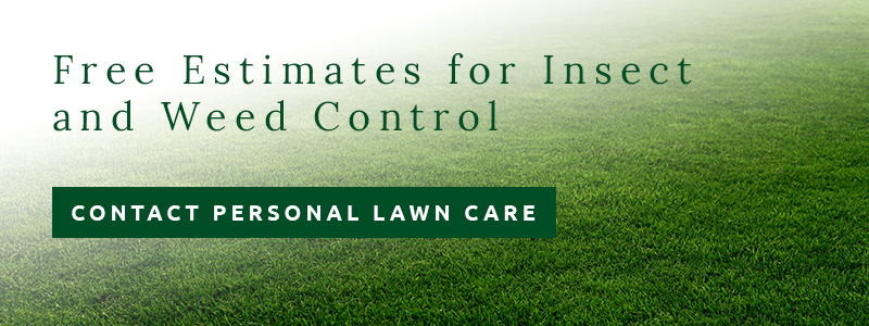 Green lawn background with text 
