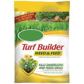 Bag of Turf Builder Weed & Feed product, white and yellow packaging, kills dandelions and feeds grass.