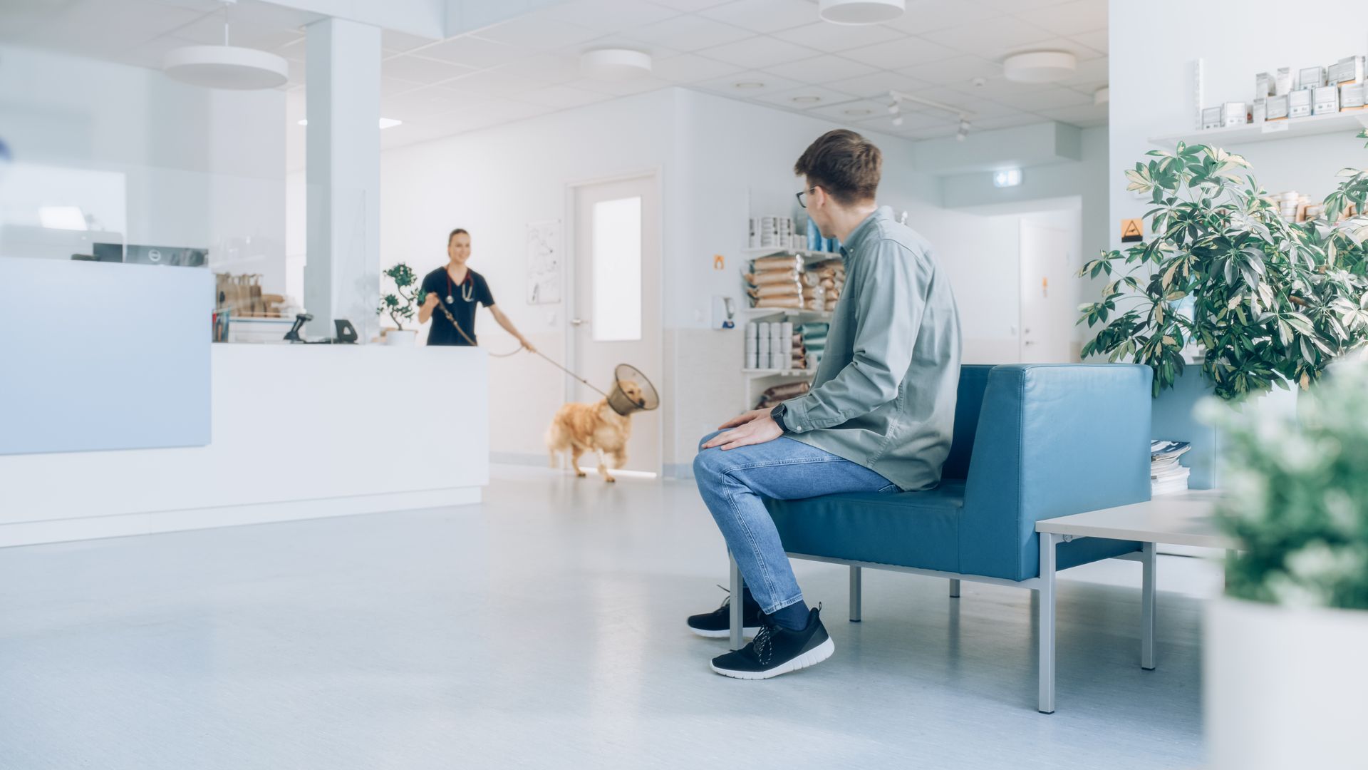 Veterinarian examining a husky while a woman sits nearby in a bright clinic room