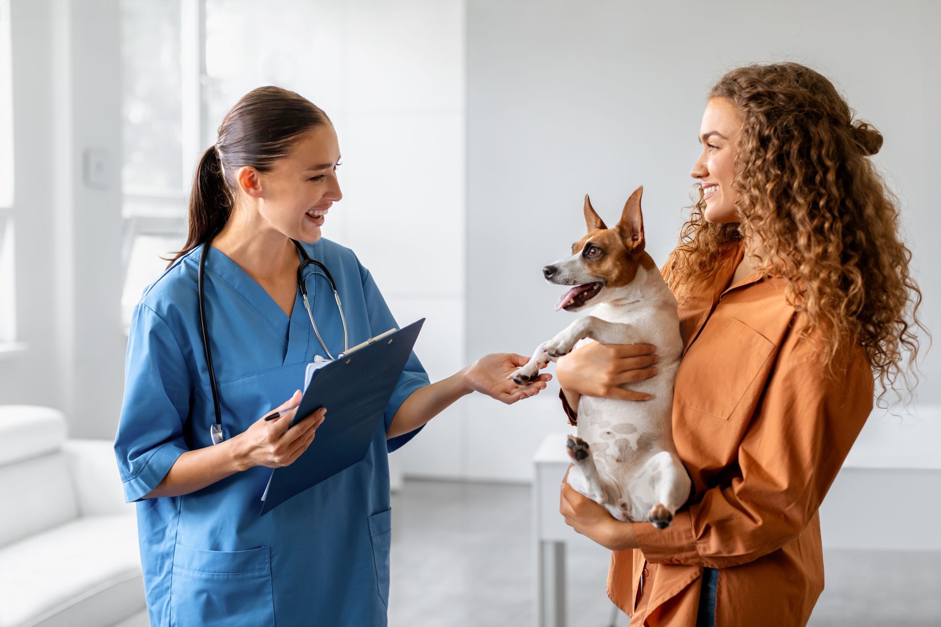 Veterinarian in blue scrubs talking with a woman holding a small dog in a bright clinic