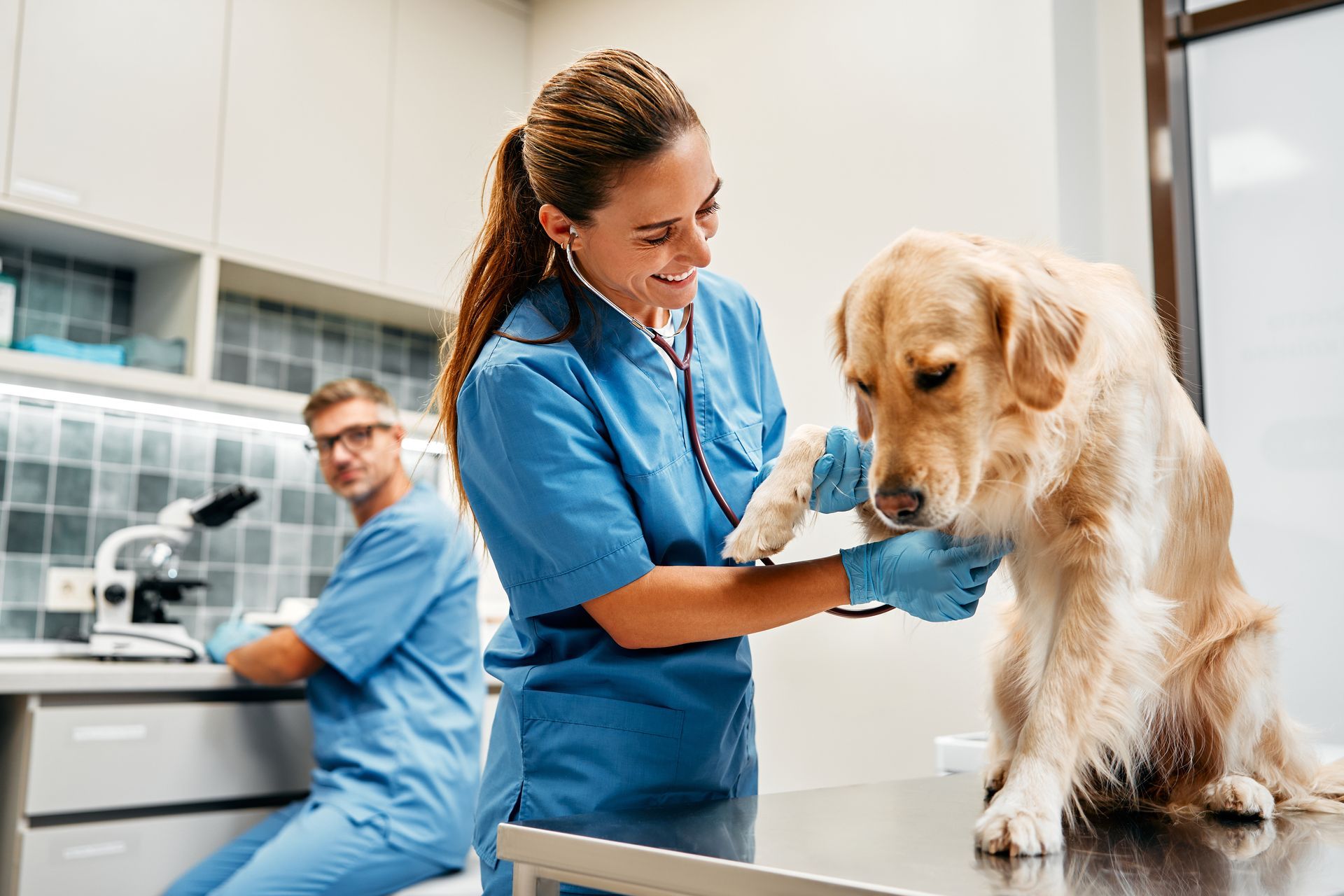 Veterinarian checking a golden retriever in a bright clinic while a colleague works in the background Veterinarian checking a golden retriever in a bright clinic while a colleague works in the background