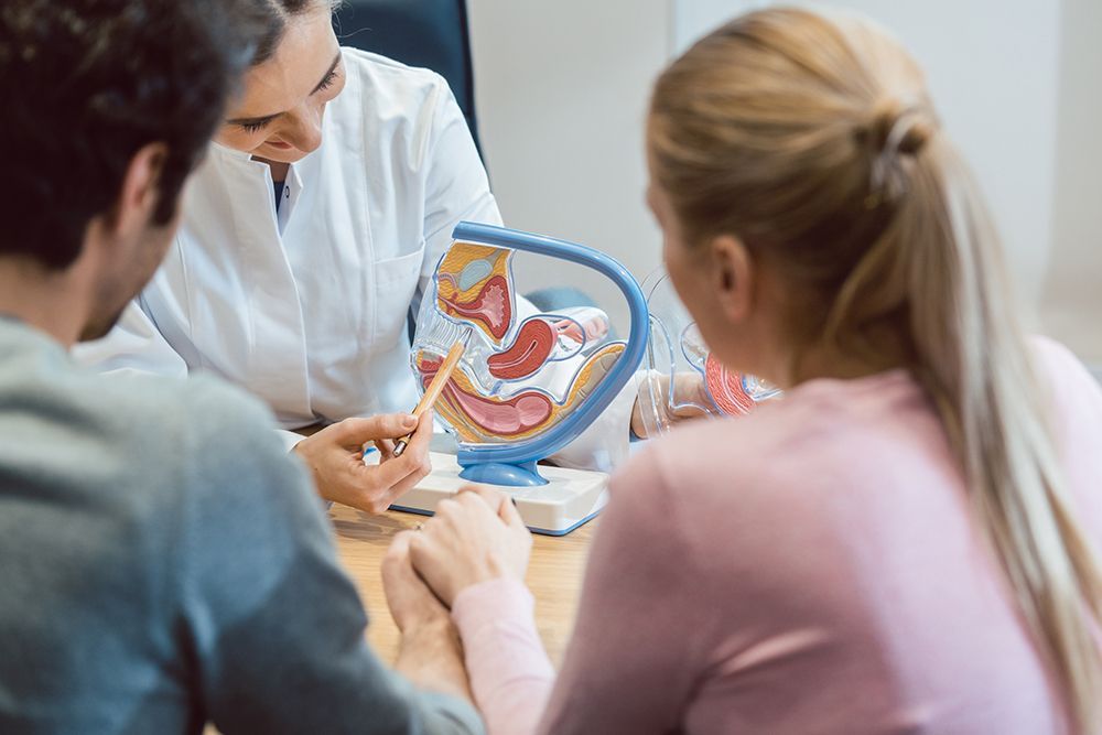 Doctor in Fertility Clinic Counseling Couple | Asheville, NC | Grace OB/GYN Physicians