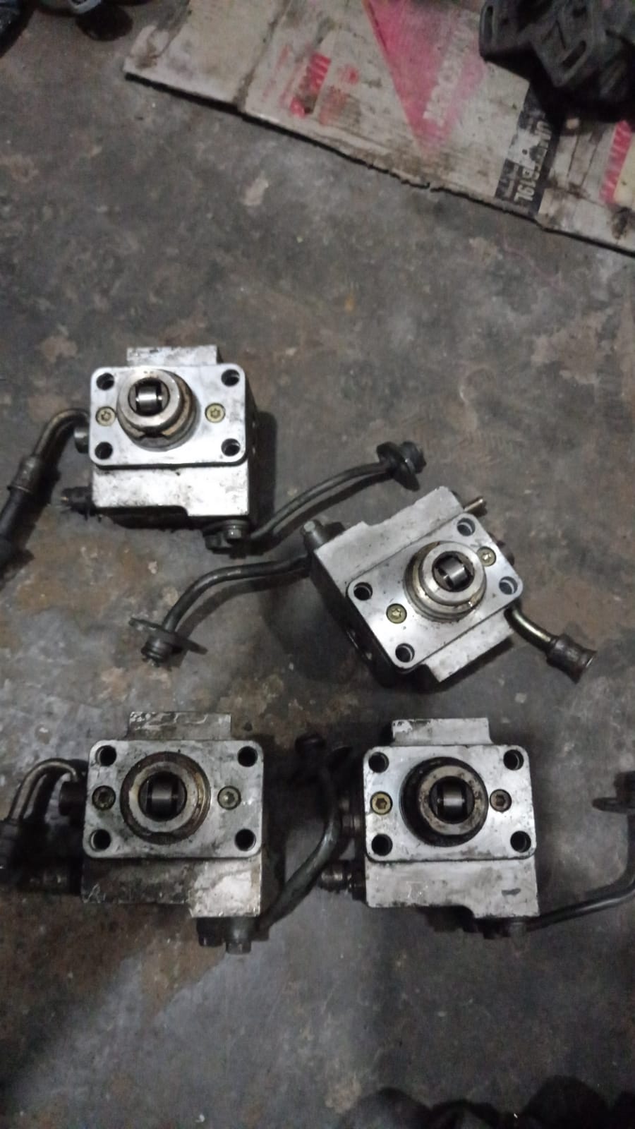 Auto ElectroNick G&F