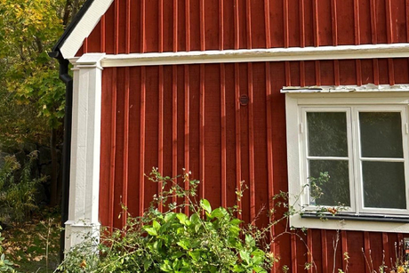Red wooden house siding with white trim and a window, partly hidden by green bushes