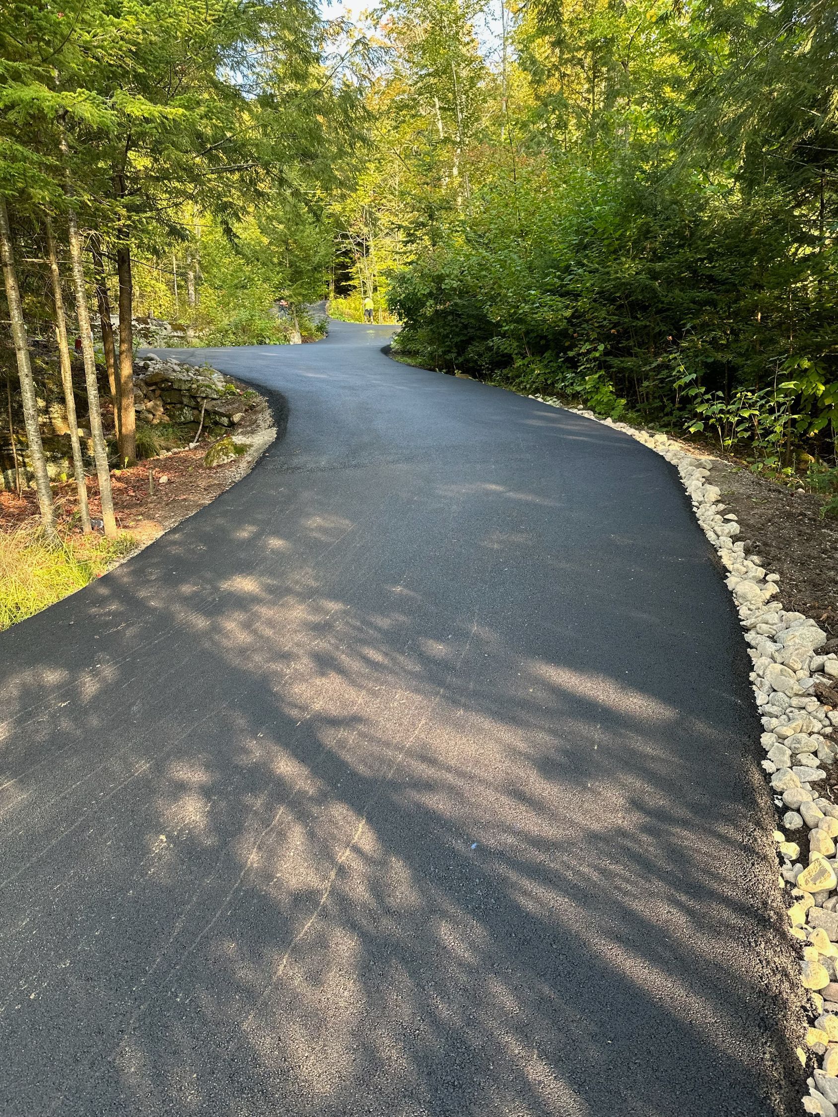 A curvy road going through a forest with trees on both sides.
