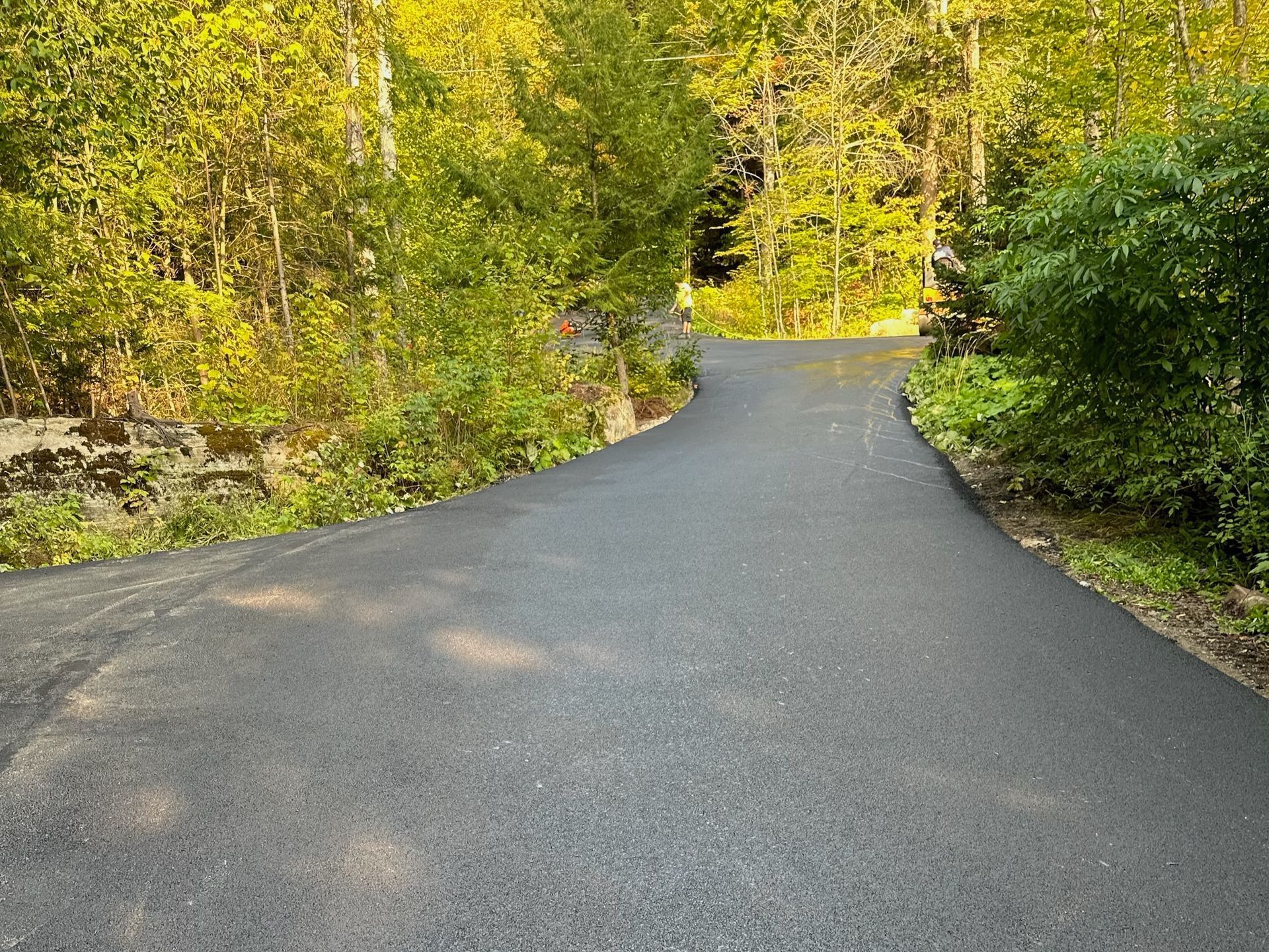 A curvy road going through a forest with trees on both sides