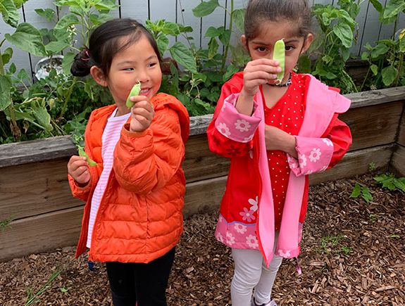 Montessori Primary Preschool Program 