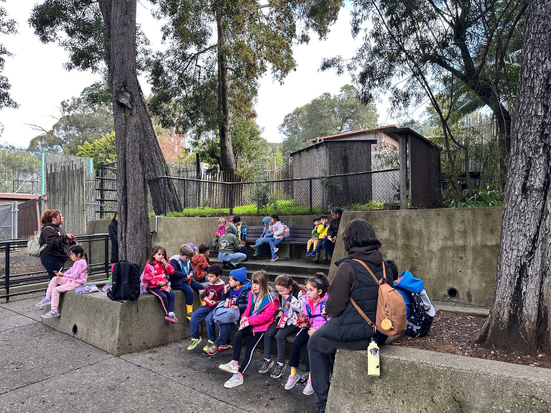 A group of Montessori child having a lunch at the Oakland Zoo
