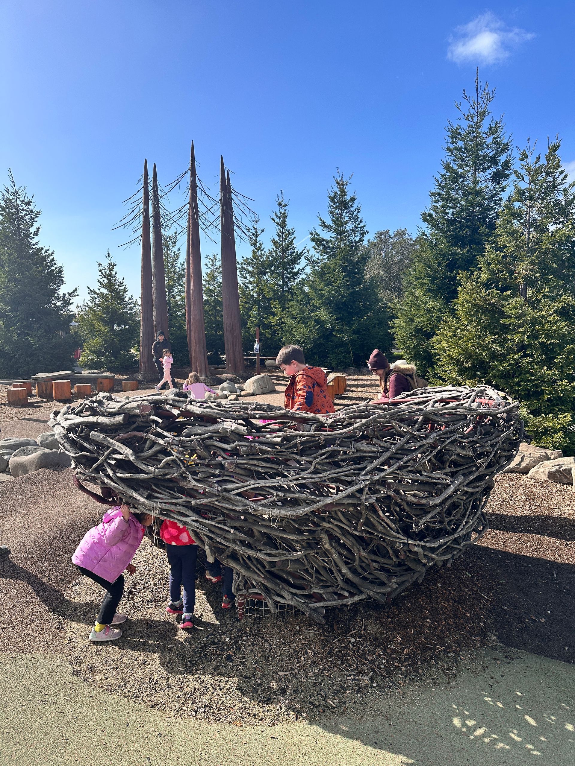 A group of Montessori child learning at the Oakland Zoo