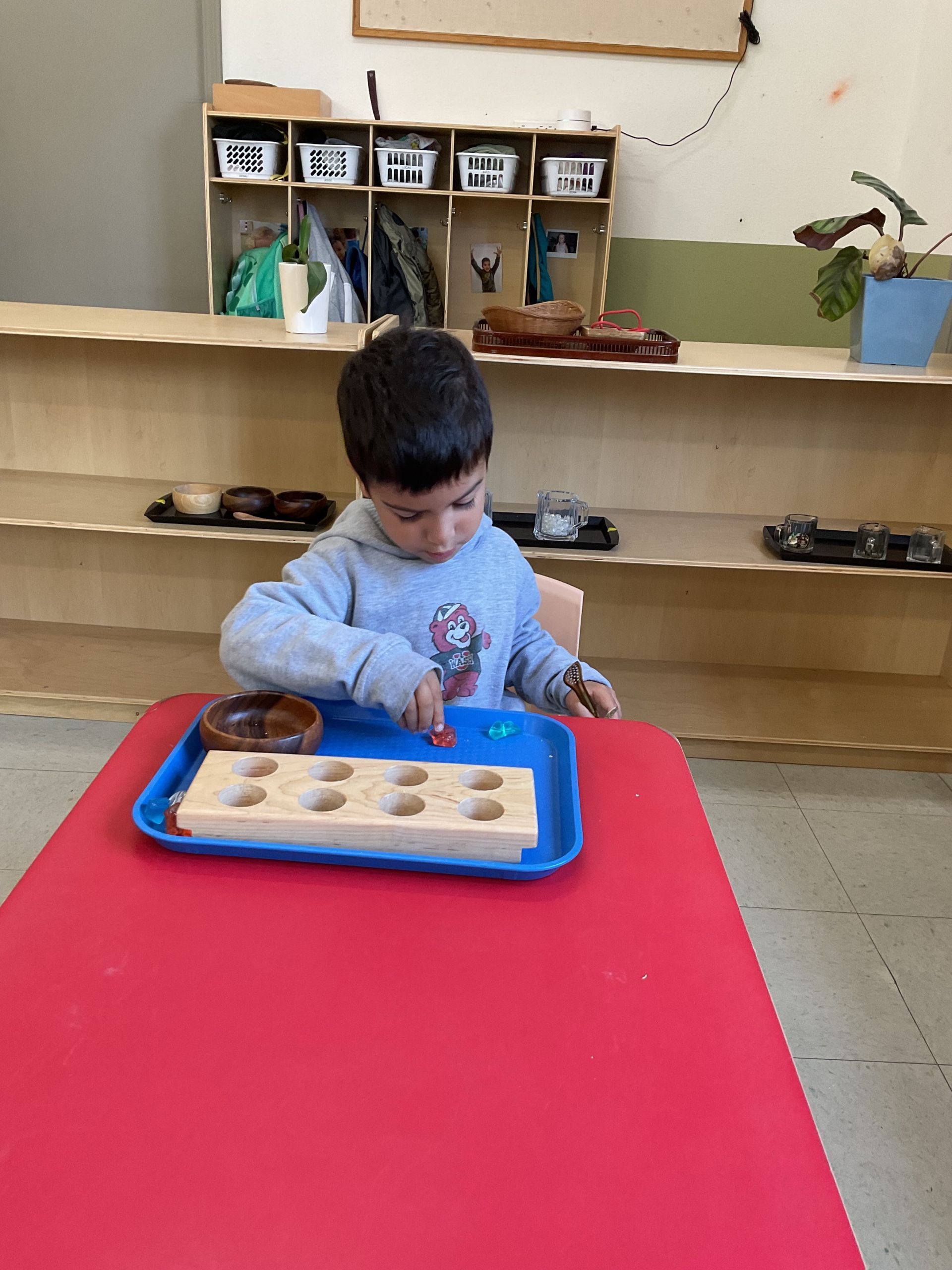 montessori child working in the classroom