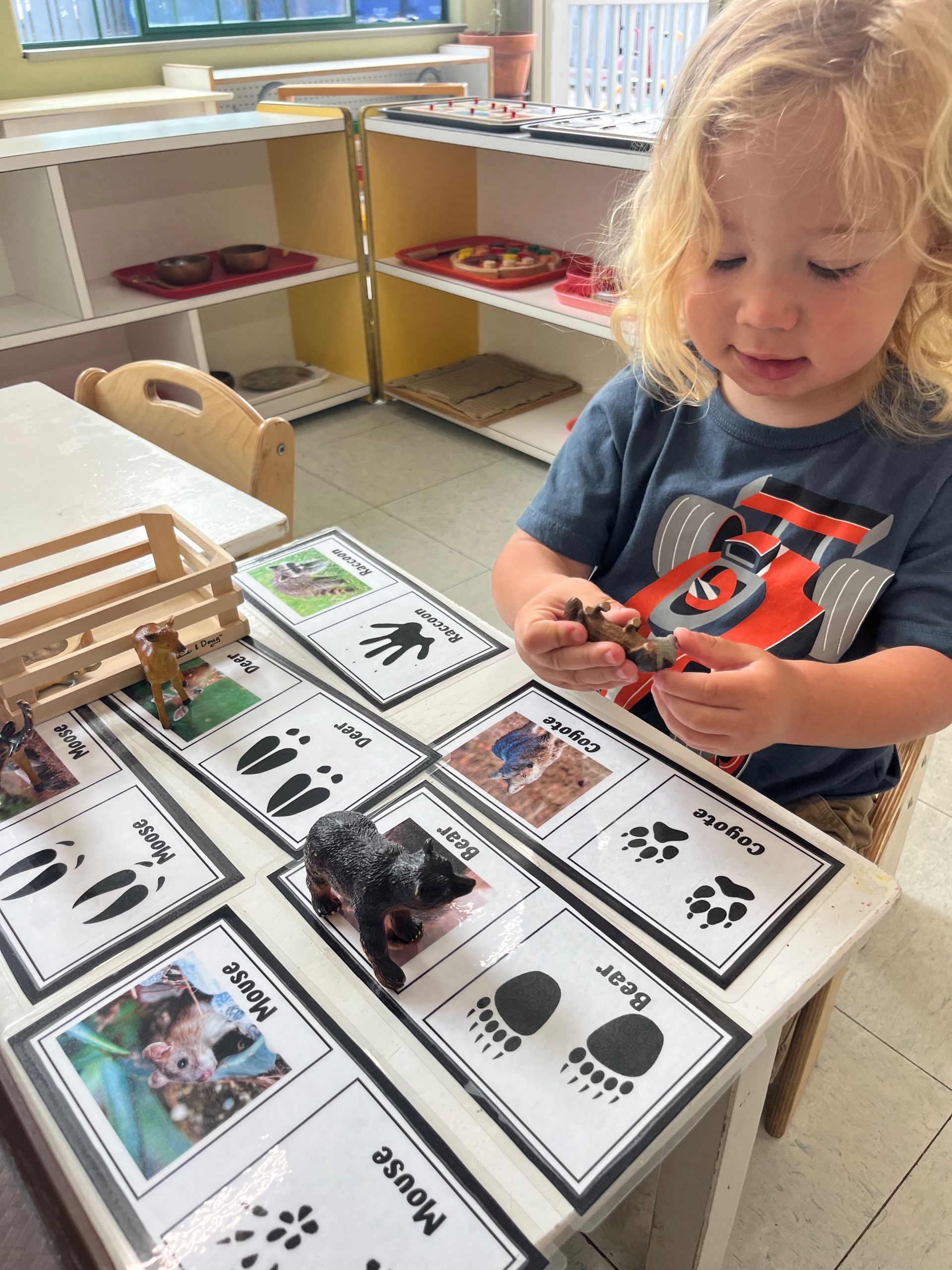 montessori toddler working with animal activity