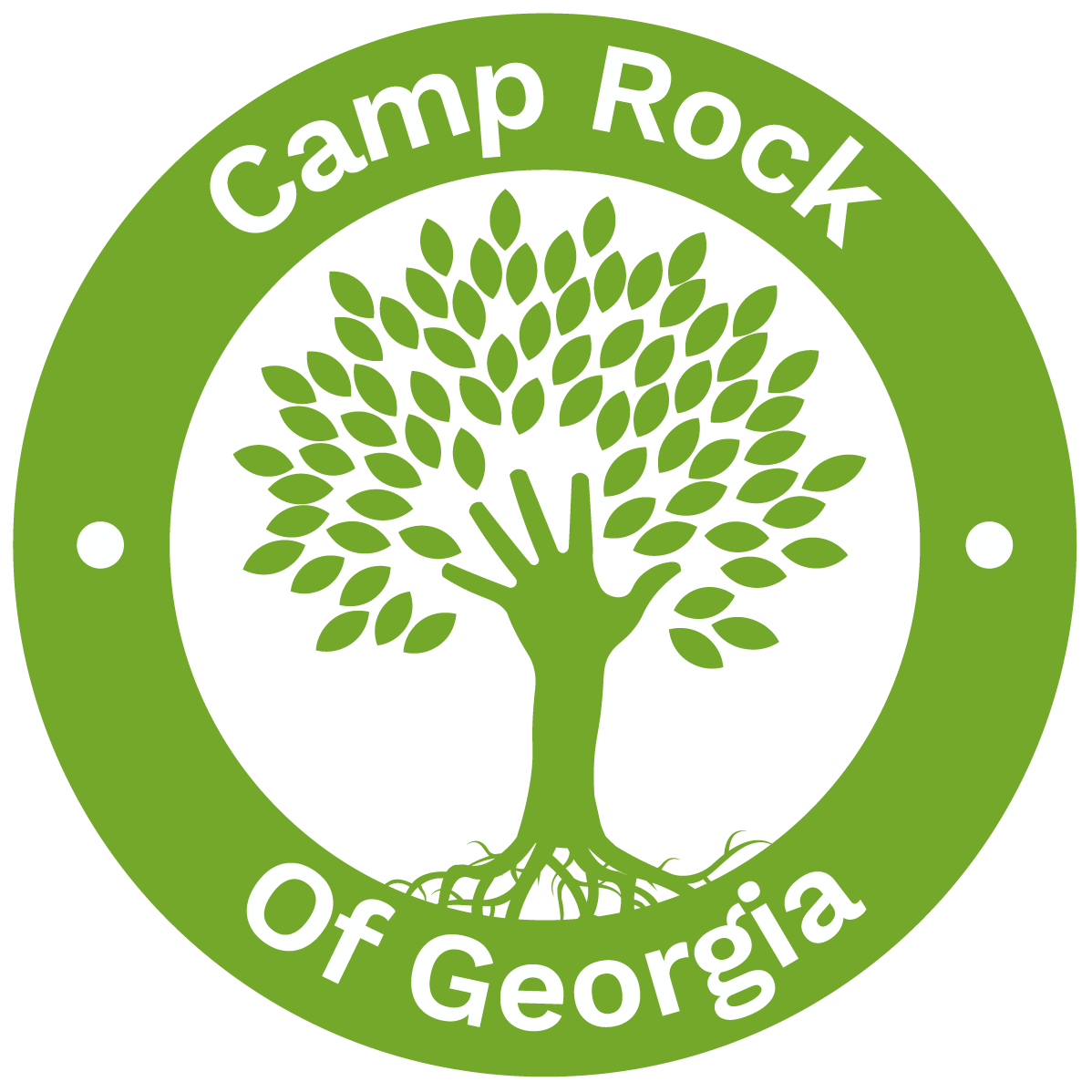 Camp Rock of Programs and Camps for Kids