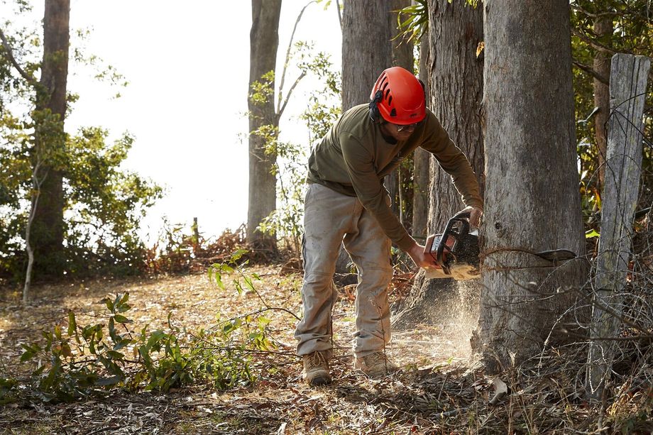 Worker Cutting Down a Tree — Hinterland Property Services in Coopers Shoot, NSW