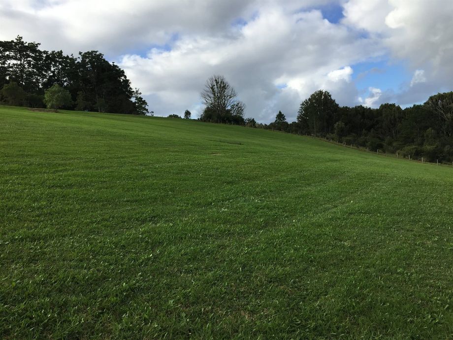 Meticulously Landscaped Green Field — Hinterland Property Services in Coopers Shoot, NSW