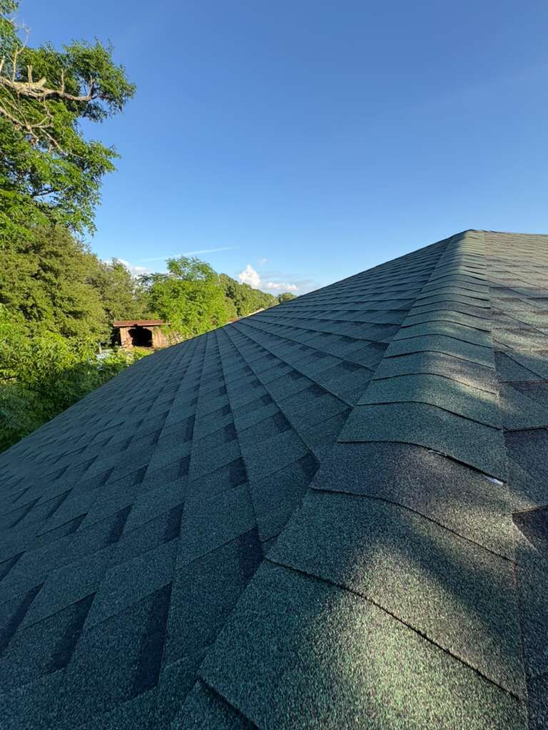 Dark gray shingled roof beside green trees under a clear blue sky