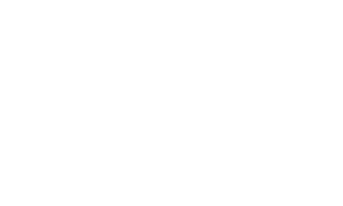Video system