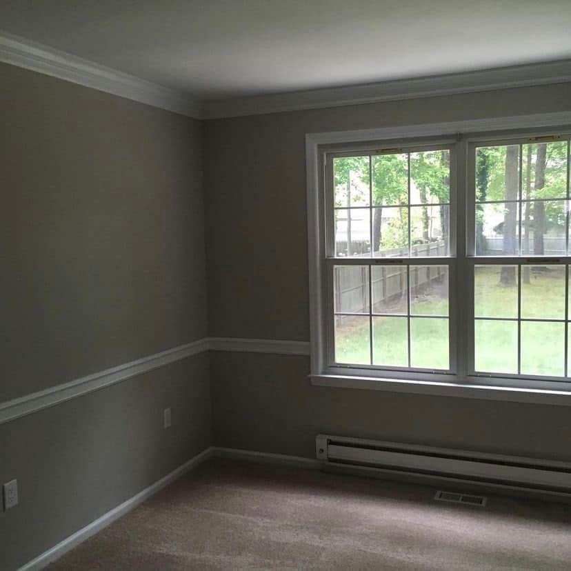 Empty gray room with white trim, carpet, and a window overlooking trees.