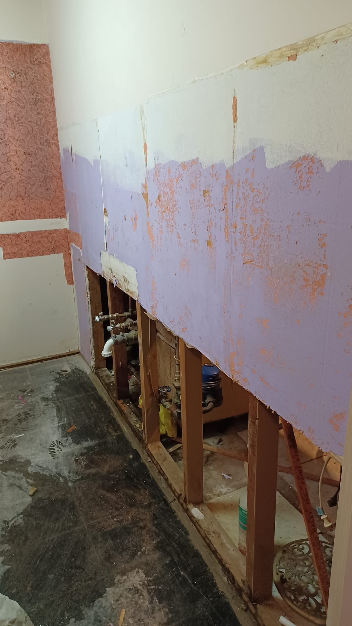 Partially demolished wall with exposed studs and peeling purple paint inside a building