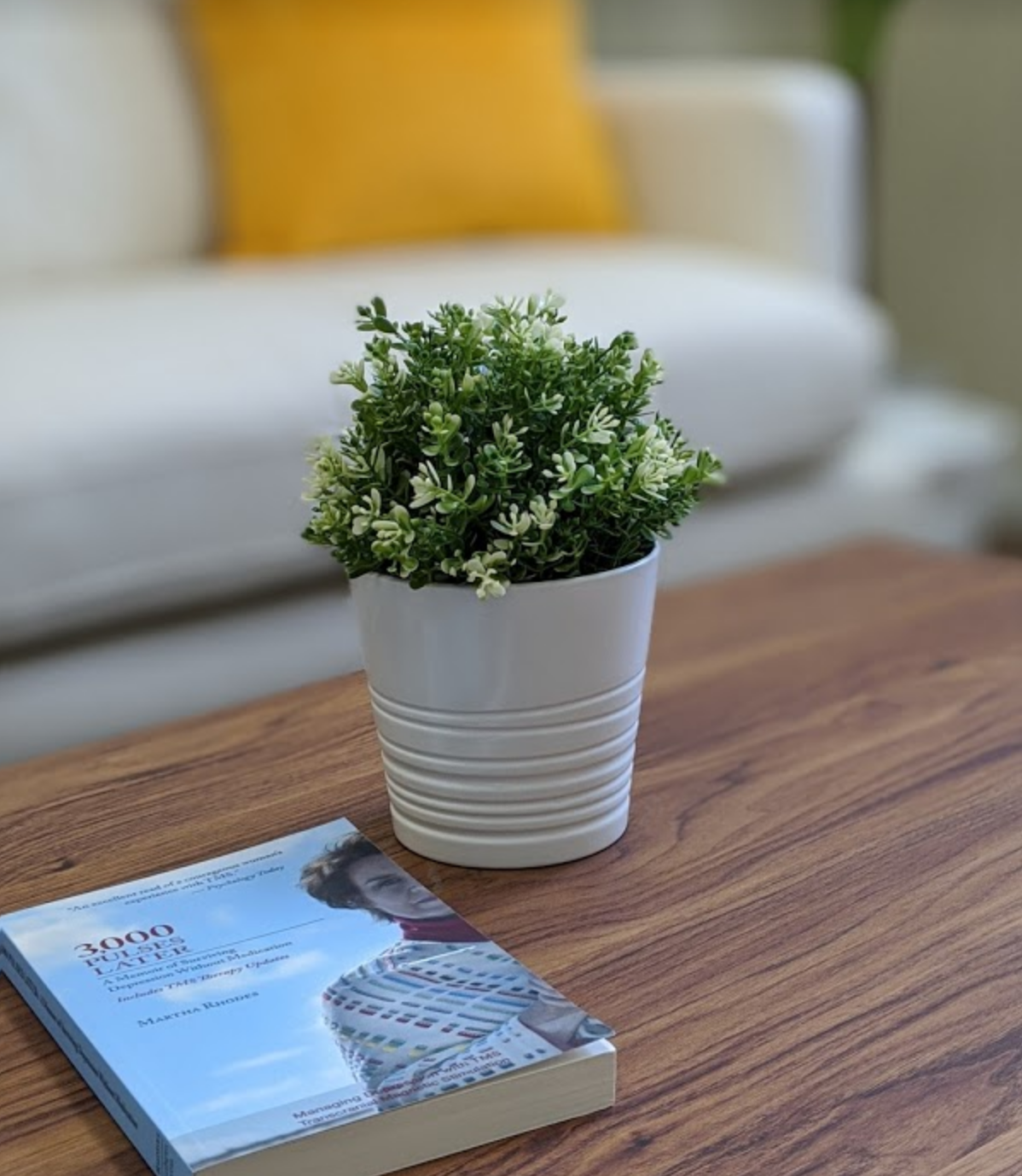 A small potted plant and a book sit on a wooden coffee table, with a white couch and yellow pillow in the background.