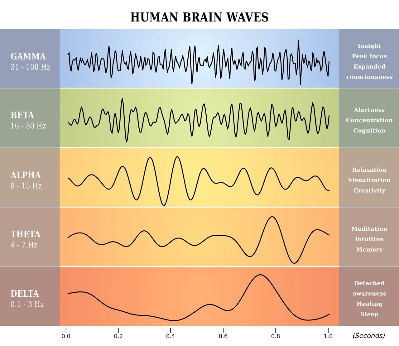Chart showing human brain waves: Gamma (30-100Hz), Beta (14-30 Hz), Alpha (8-13 Hz), Theta (4-7 Hz), and Delta (0.5-3 Hz), with corresponding states of awareness.