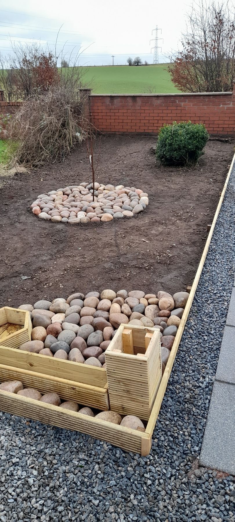 Backyard gravel garden with brick border, stepping stones, and a small shrub under a cloudy sky