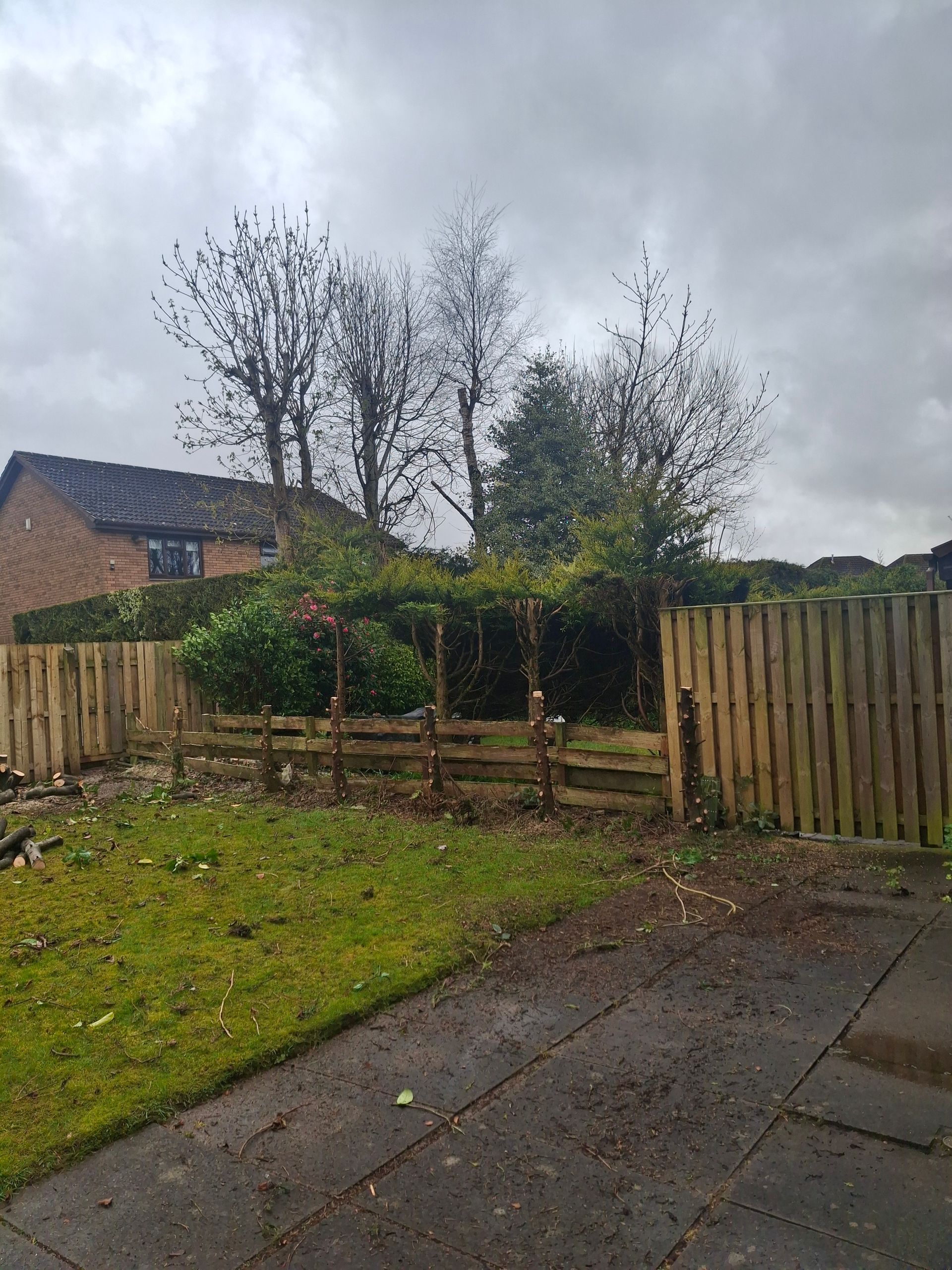 Rainy garden with wooden fence, shrubs, and paved driveway under a cloudy sky