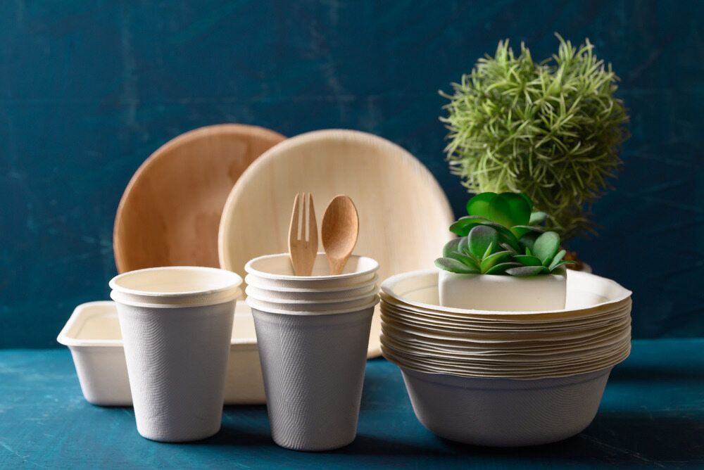 A Table Topped With Plates, Cups, Bowls, Utensils and a Plant — Mackay Cleaning & Packaging Supplies in Mackay, QLD