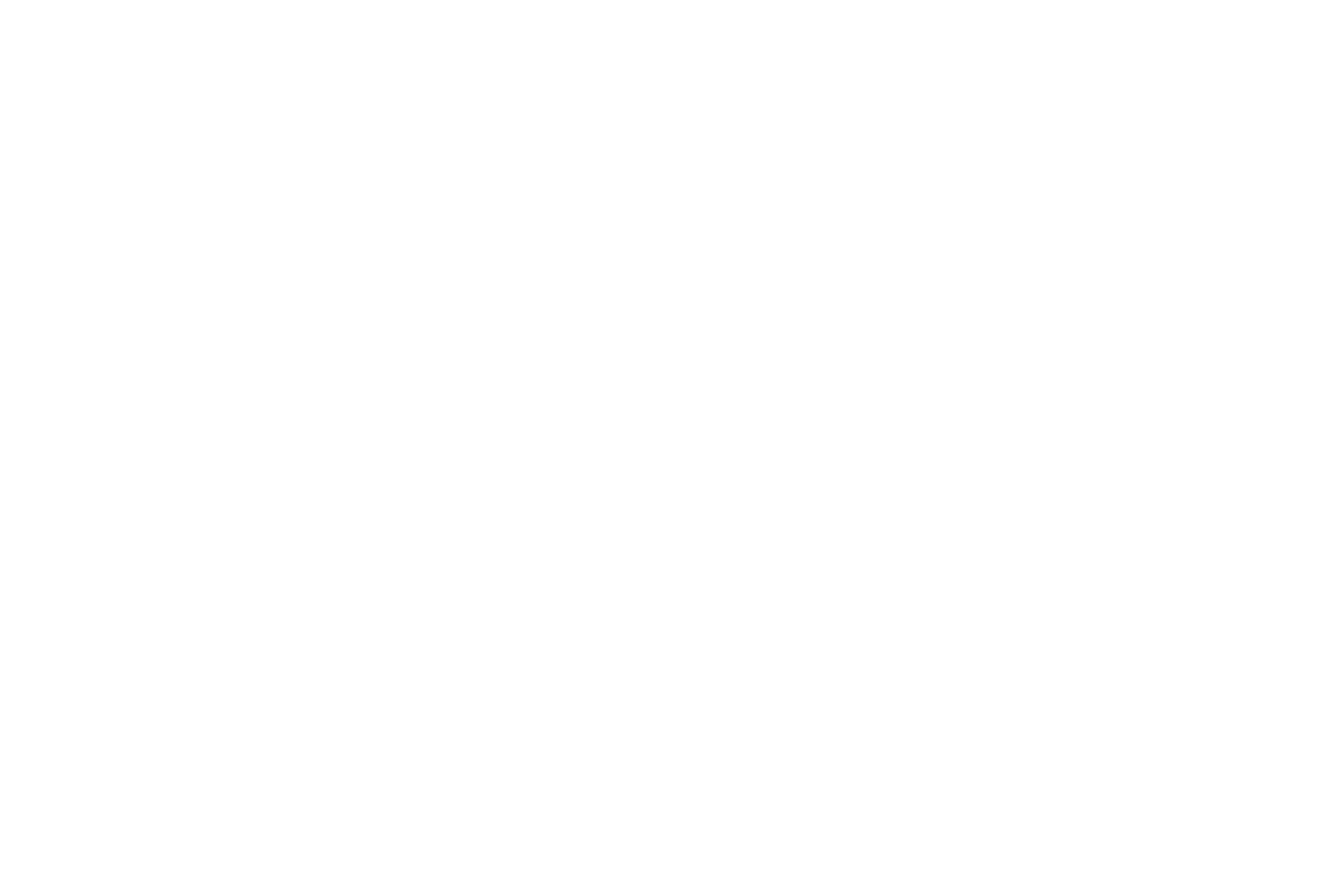 Coca Cola Logo
