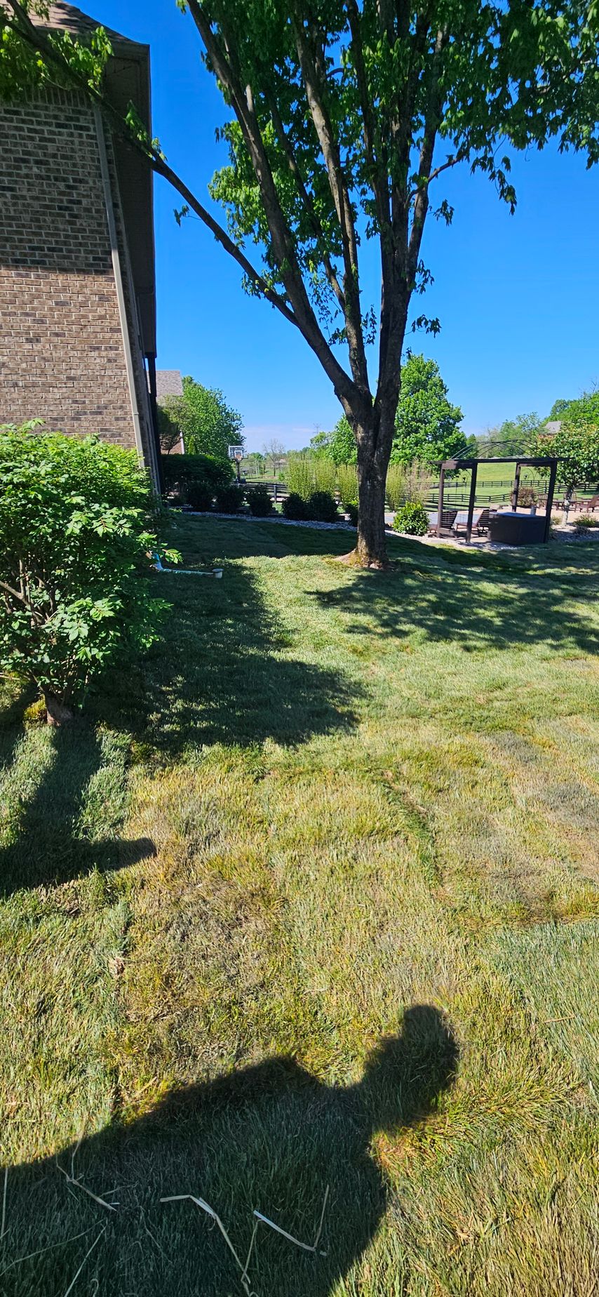 Sunny park with trees, grass, and a brick building beside a shaded walkway