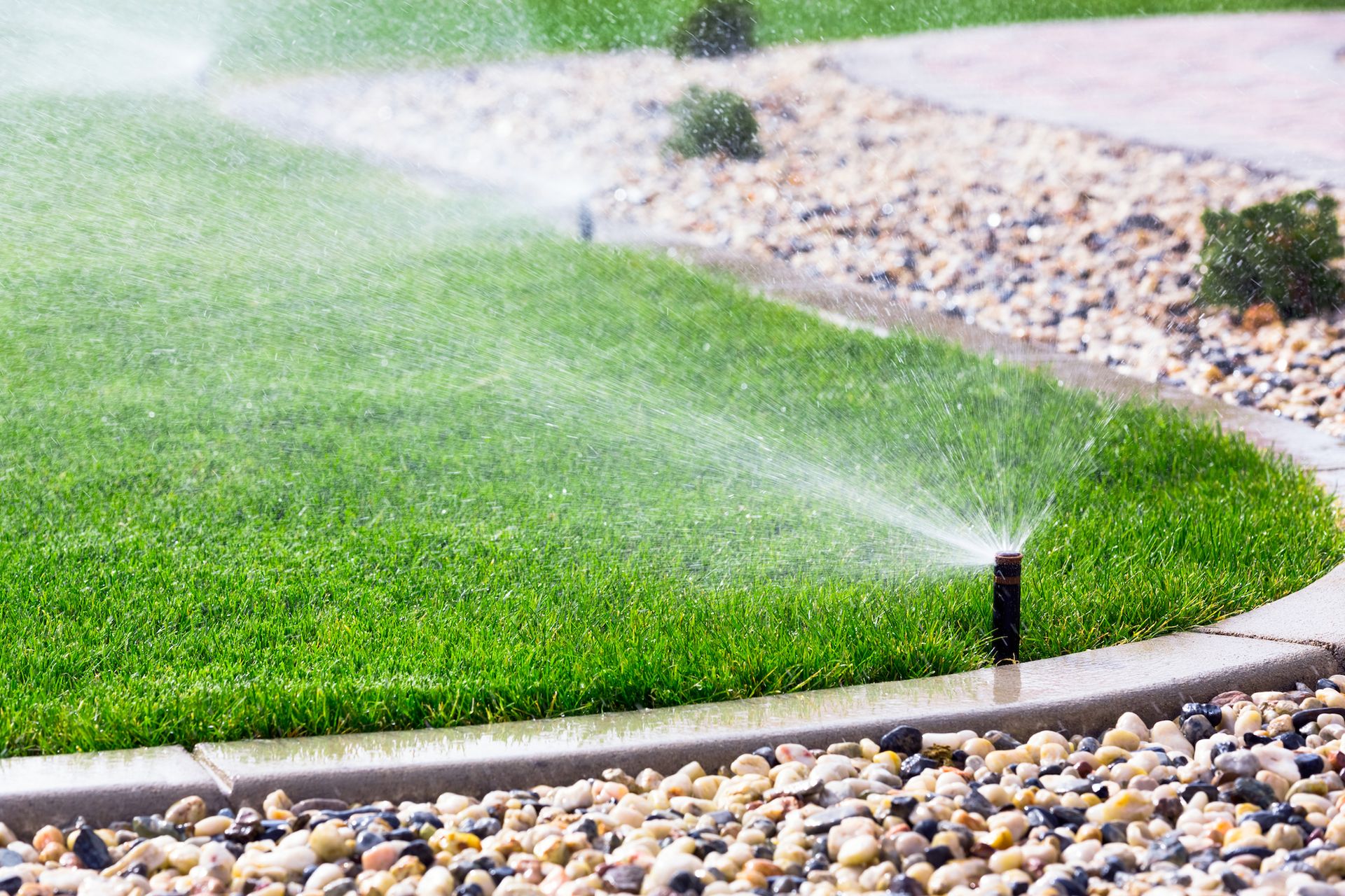 Sprinkler watering a green lawn, near a border of rocks and a paved edge.