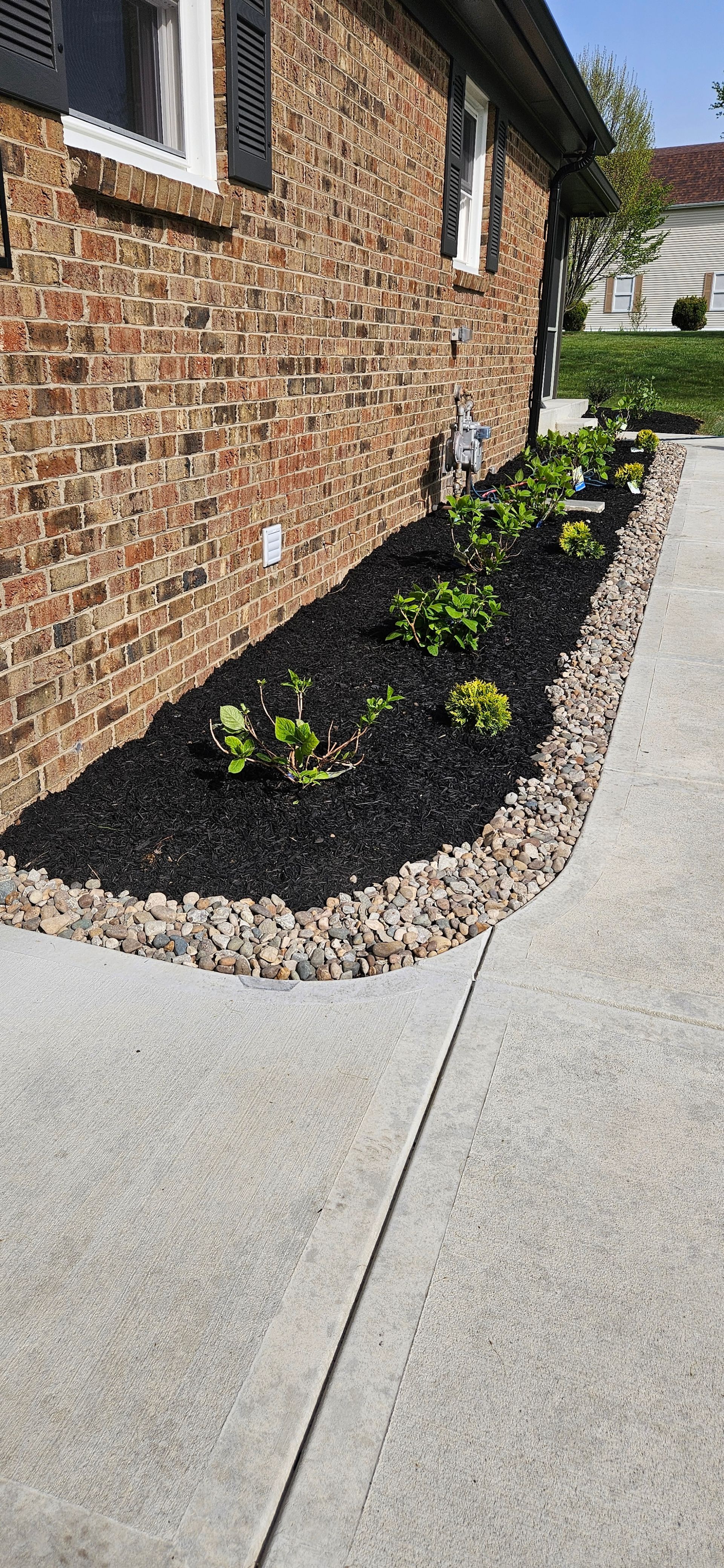 Brick building with a sidewalk and a garden bed with plants and black mulch.