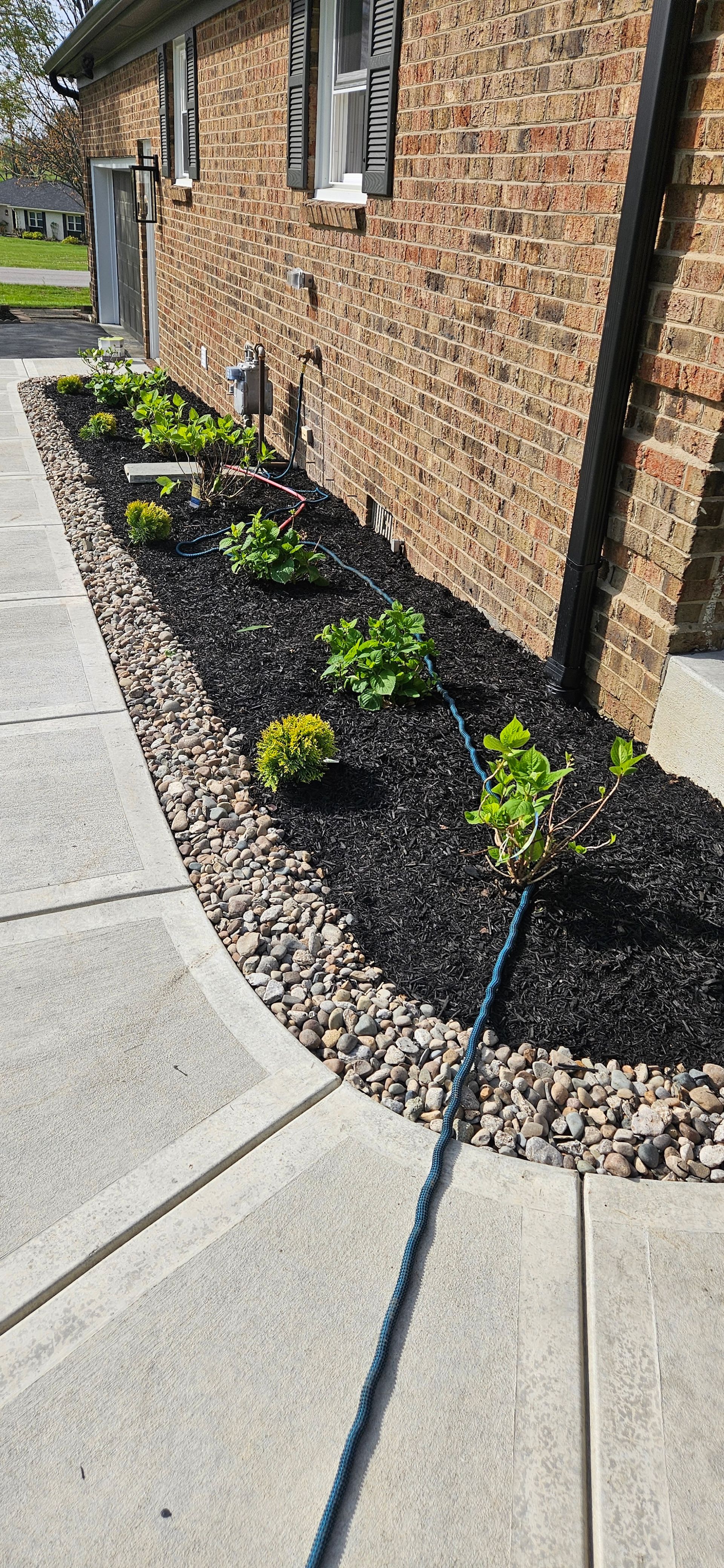 A brick house with a newly mulched flower bed and small green plants next to a concrete walkway.