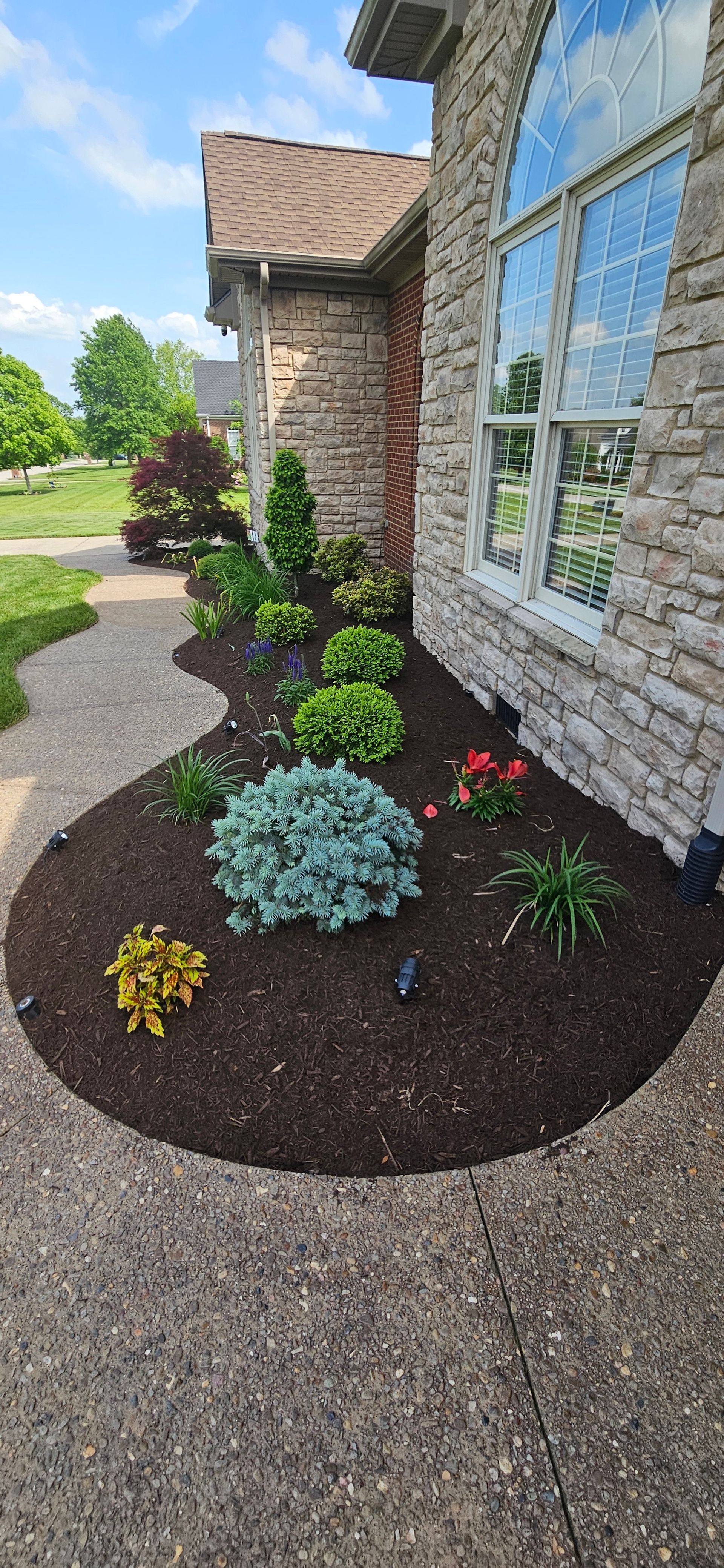 Landscaped flower bed with various plants and brown mulch next to a stone-clad building and walkway.