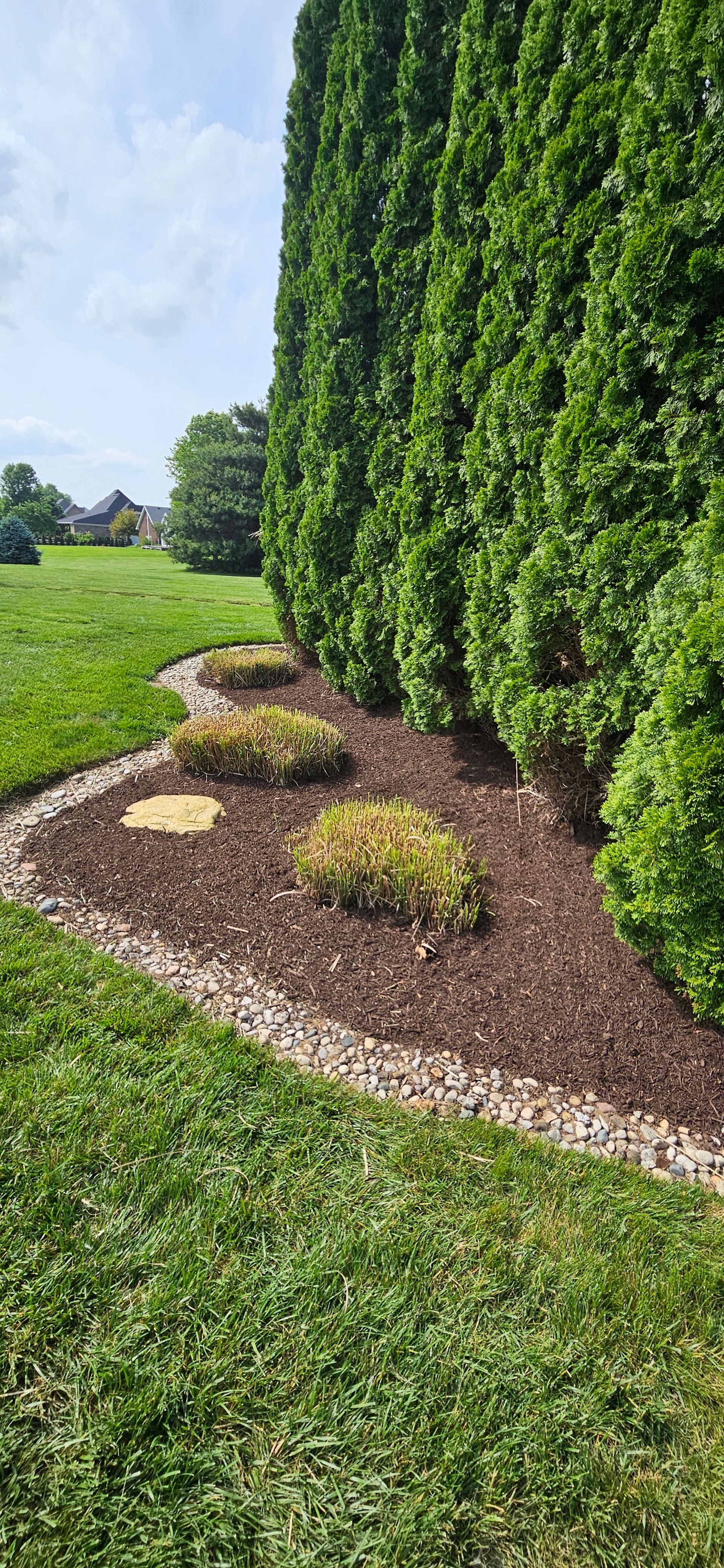 Green hedge alongside a flower bed with mulch and small plants, a stone border and a grassy yard.