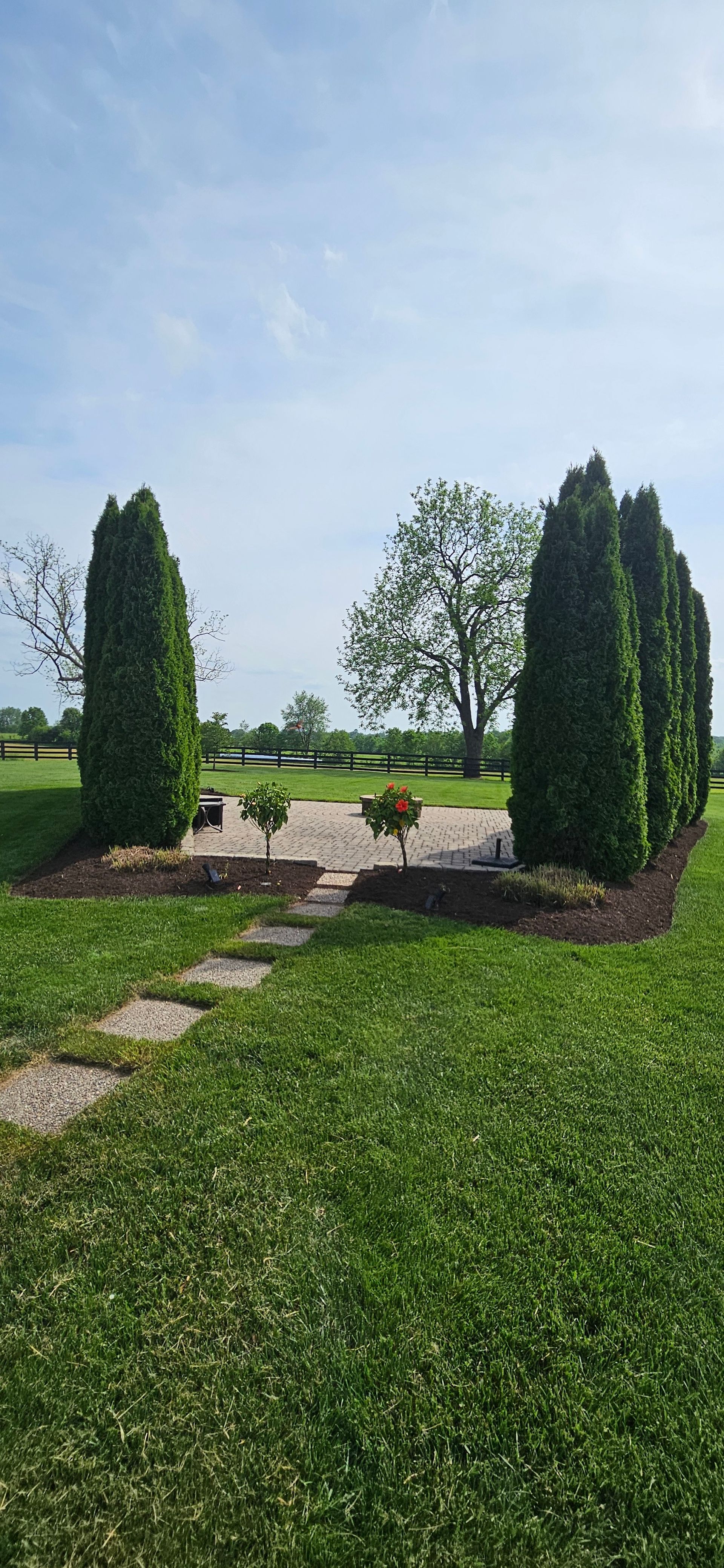 Green lawn with stone pathway leading to a small garden framed by evergreen trees under a blue sky.
