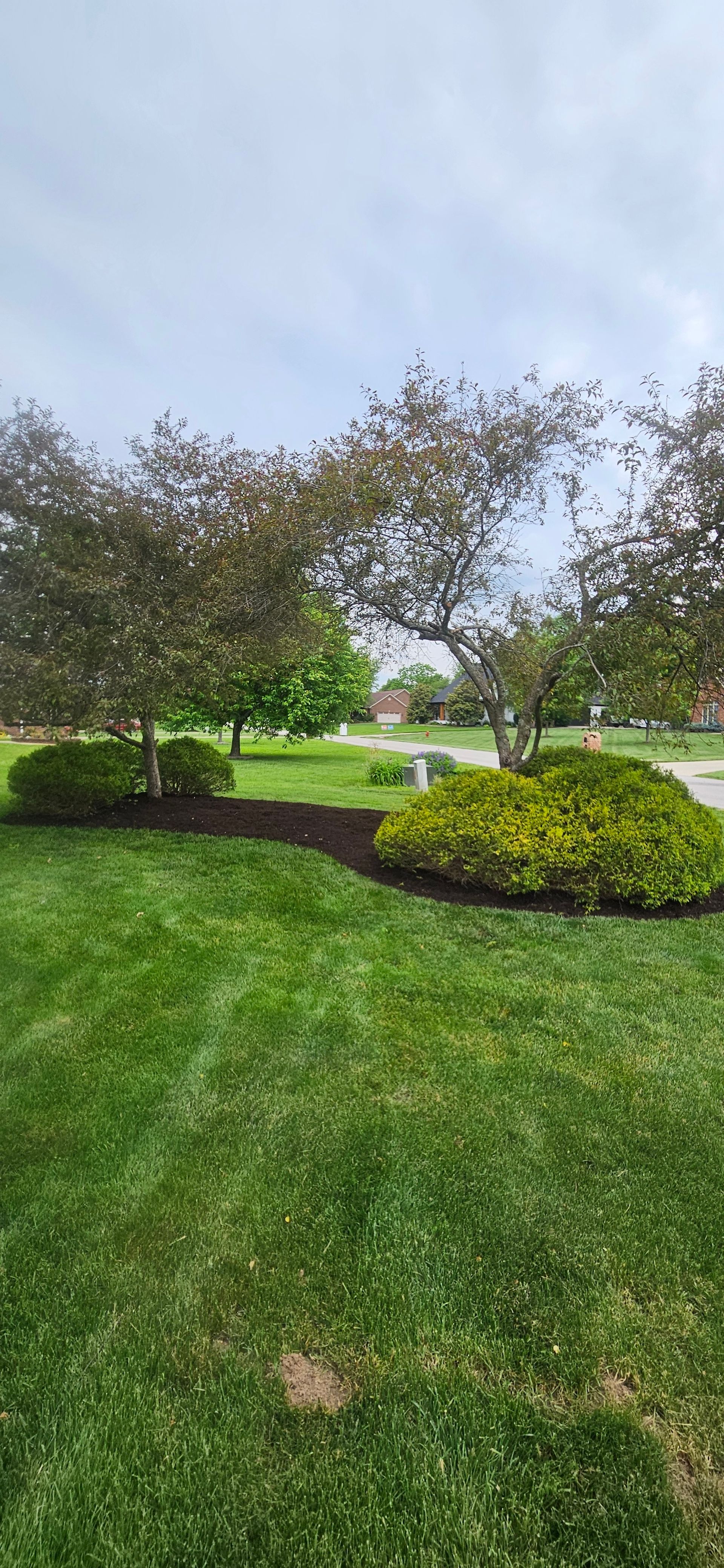 Lush green lawn with trees and bushes under a cloudy sky.