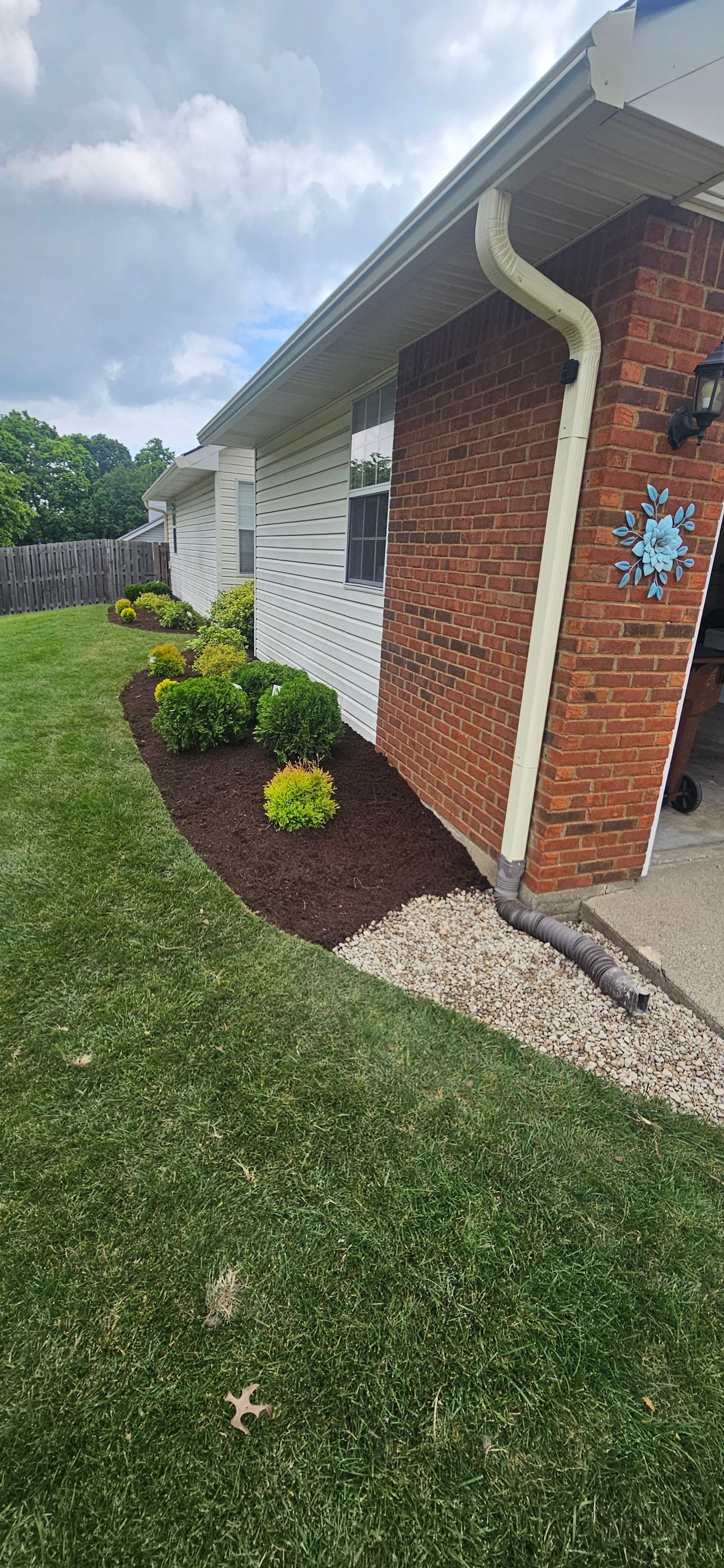 Lawn next to house with flower bed containing mulch and plants. Brick and white siding. Gutters above.