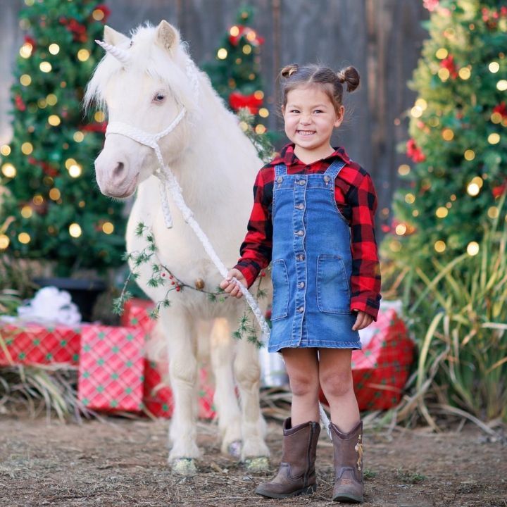 Christmas Unicorn Photoshoot San Diego